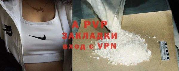 крисы Абаза