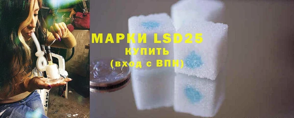 крисы Абаза