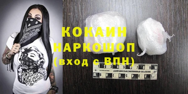 крисы Абаза