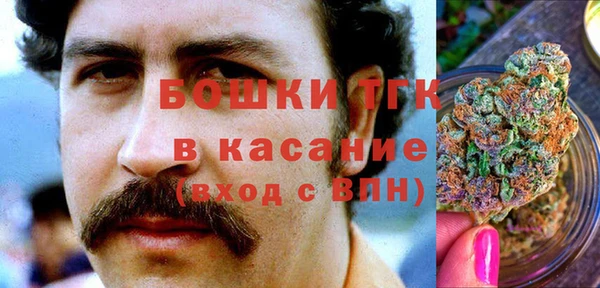 крисы Абаза