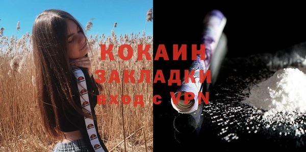 крисы Абаза