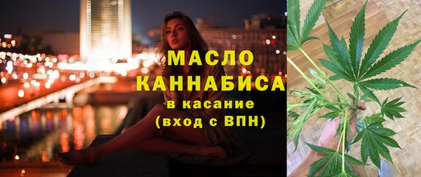 крисы Абаза
