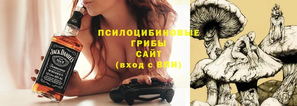 крисы Абаза
