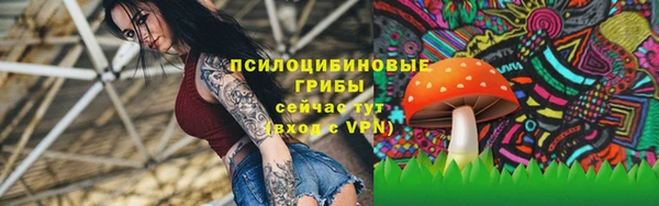 крисы Абаза