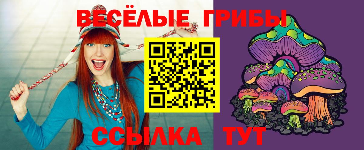 купить наркоту  Галлюциногенные грибы Magic Shrooms  Вход с VPN  Павловский Посад 