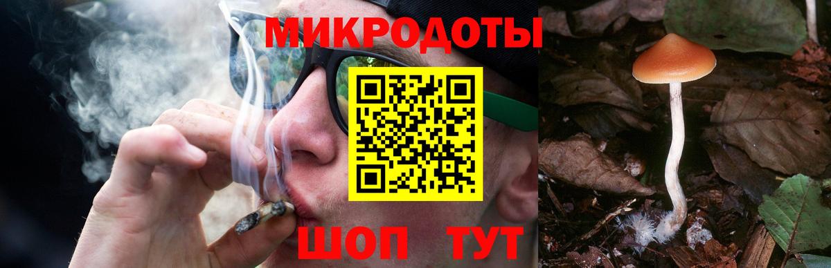 Галлюциногенные грибы Magic Shrooms Павловский Посад