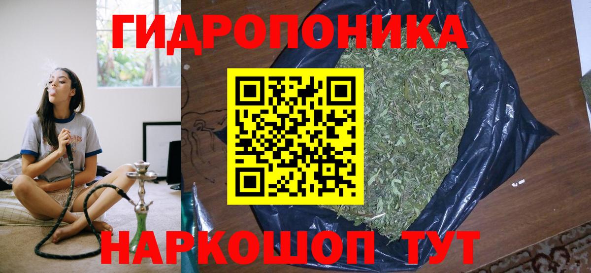 Шишки марихуана планчик  Канабис сатива  МАРИХУАНА конопля  Павловский Посад  Вход с VPN 